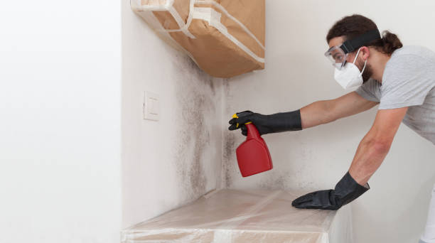 Professional Mold Removal technician working in Halifax, VA